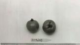 Click for 1 image(s) for this accession. FRUIT